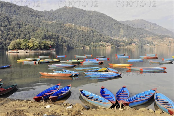 Rowing boats