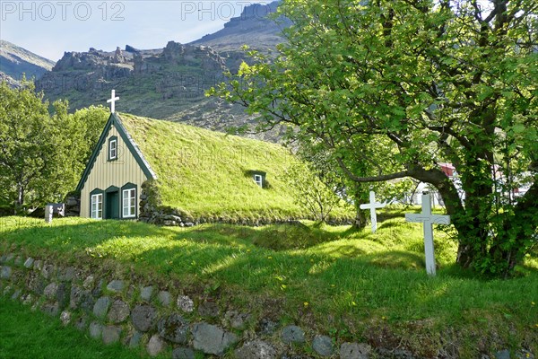 Grass sod houses