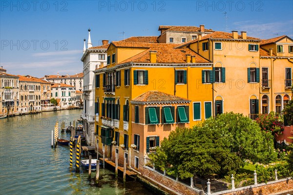 View from the Ponte dell'Accademia into a garden