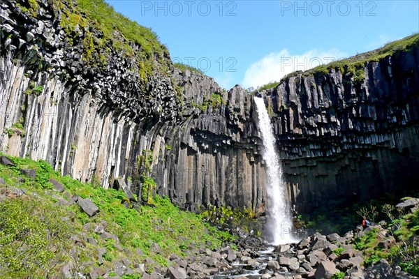 Svartifoss Waterfall in Skaftafell National Park