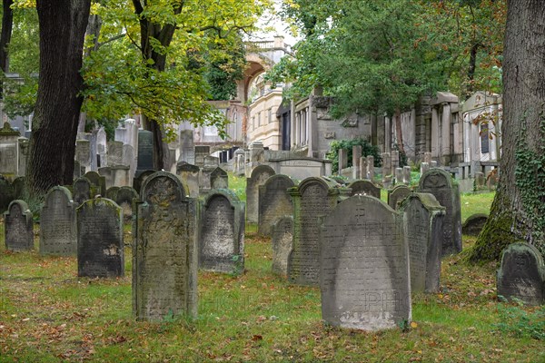 Jewish Cemetery