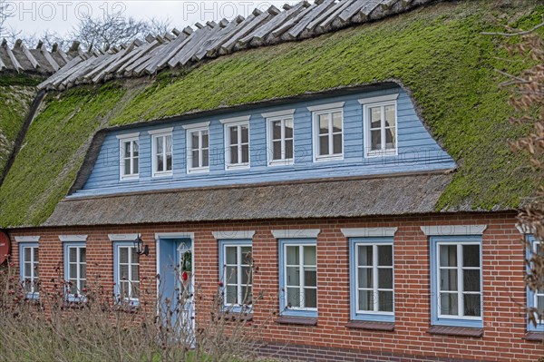 Thatched roof house