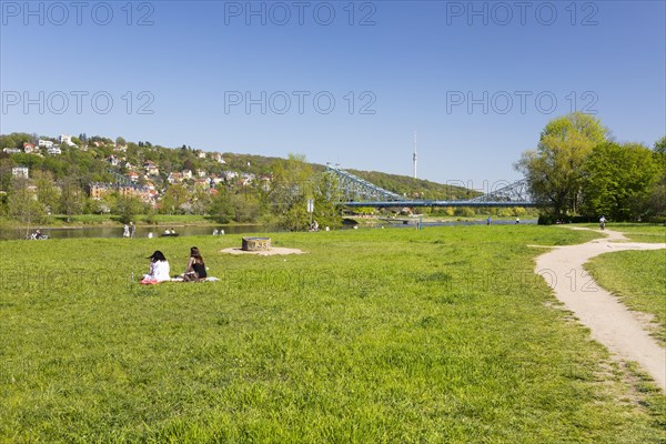 Meadows on the Elbe in Blasewitz