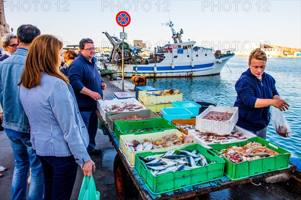 Fishmonger at the fishing port