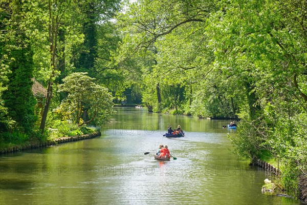 Paddle boats