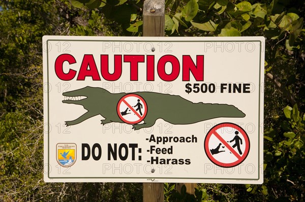 Warning sign about alligators at Ding Darling National Wildlife Refuge/ warnig about alligators