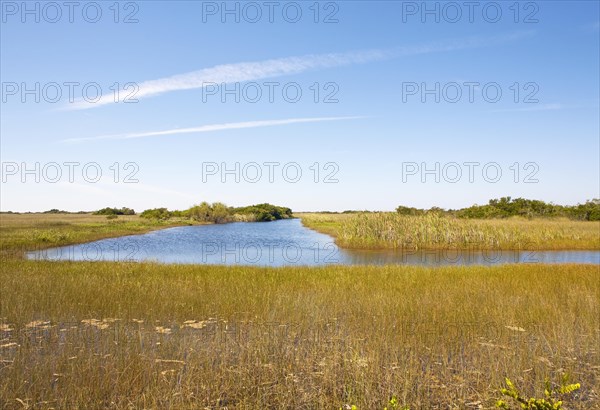 Swampland