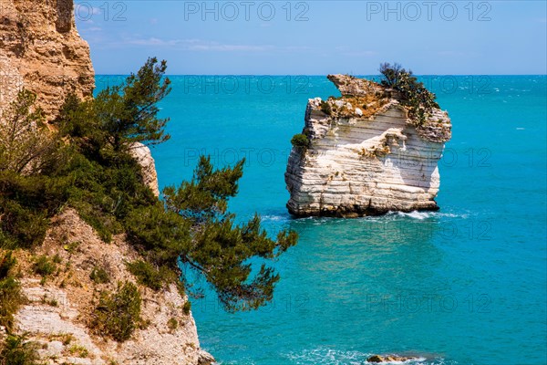 Fantastic limestone cliffs