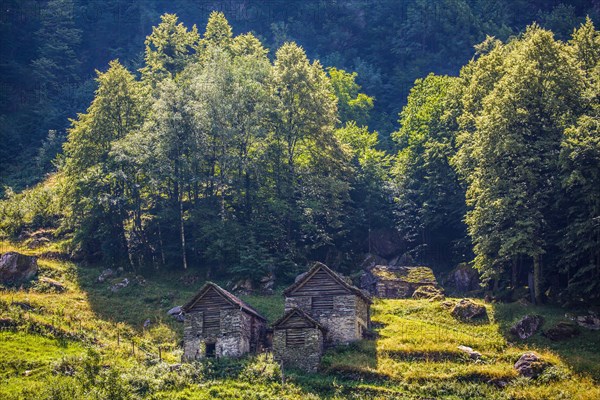 Stone barns in the Maggia Valley