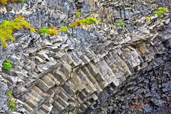 Bird Rock Reynisfjara Halsanefshellir