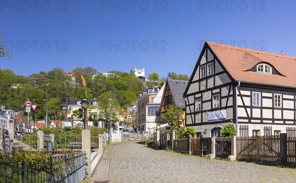 Historic development with villas and half-timbered houses on Friedrich-Wieck-Strasse in Loschwitz