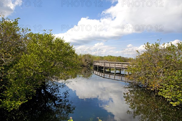 Anhinga Trail