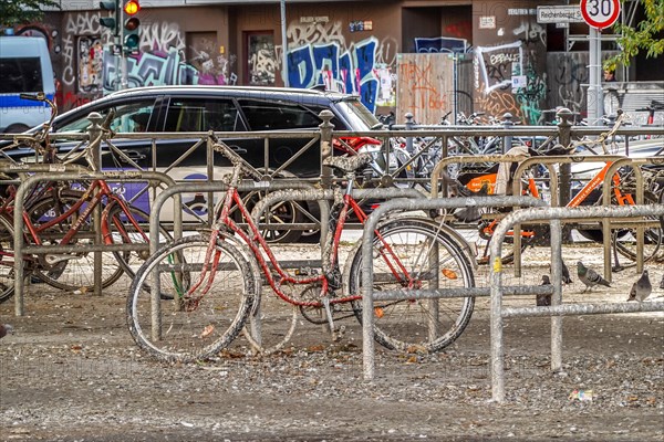 Pigeon droppings on bicycle