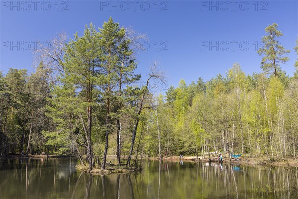 Haarweidenstausee with island