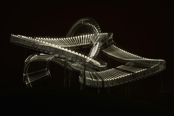 Landmark Tiger & Turtle - Magic Mountain