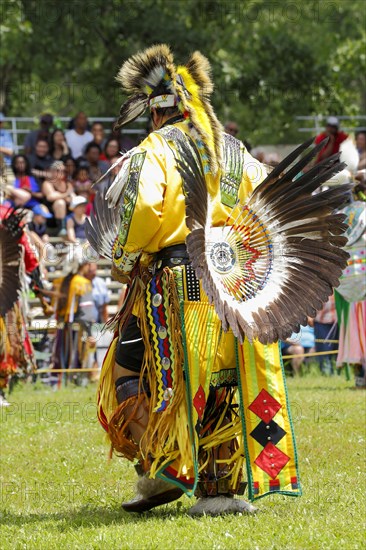 Indian with colorful dress at a Pow Wow