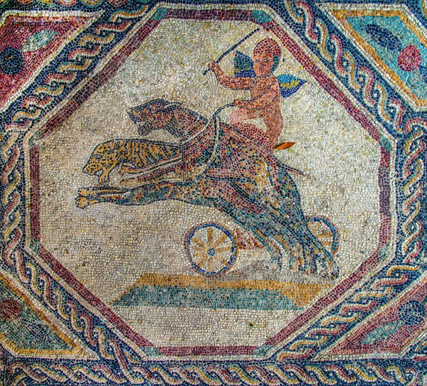 Amorette as charioteer