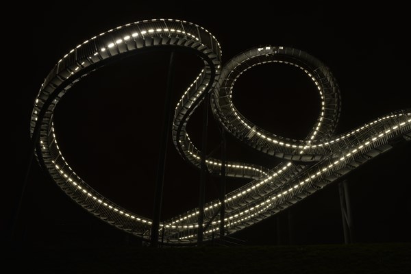 Landmark Tiger & Turtle - Magic Mountain