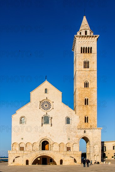 Romanesque Cathedral of S. Nicola Pellegrino by the sea