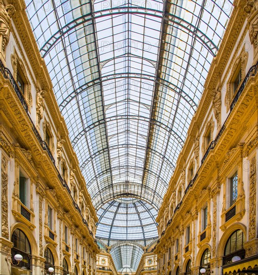 Galleria Vittorio Emanuele conorhynchos (1877) built
