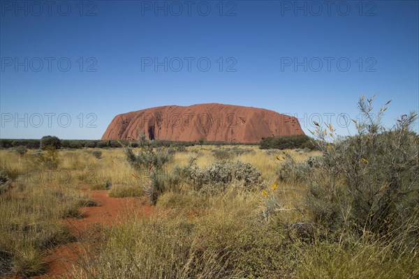 Uluru view from the western side