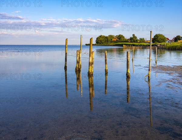 Coastal landscape at the Greifswald Bodden in the evening light
