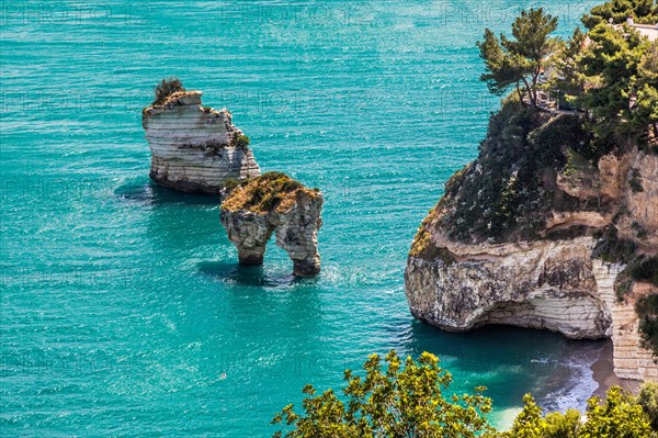 Fantastic limestone cliffs