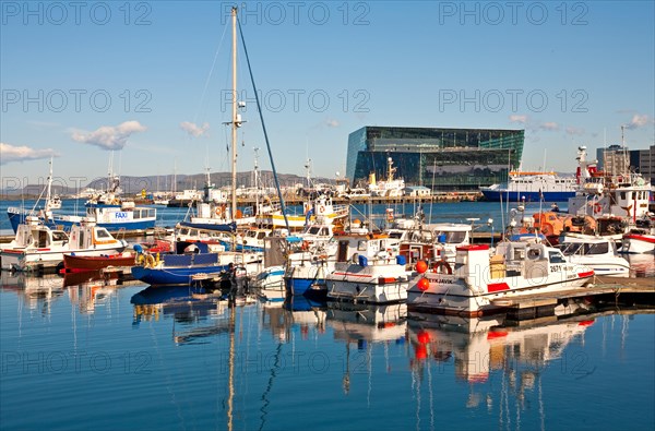 Harbour with Harpa Concert Hall