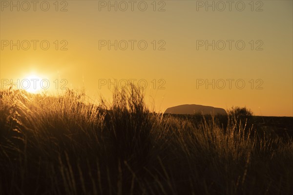 Uluru at sunrise