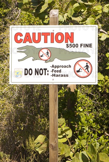 Warning sign about alligators at Ding Darling National Wildlife Refuge/ warnig about alligators