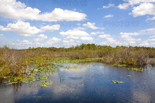 Anhinga Trail