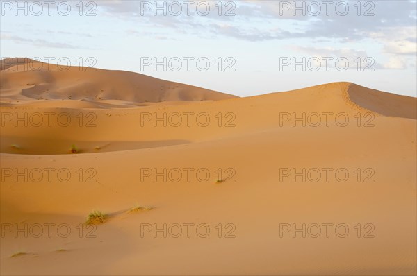 Erg Chebbi Desert