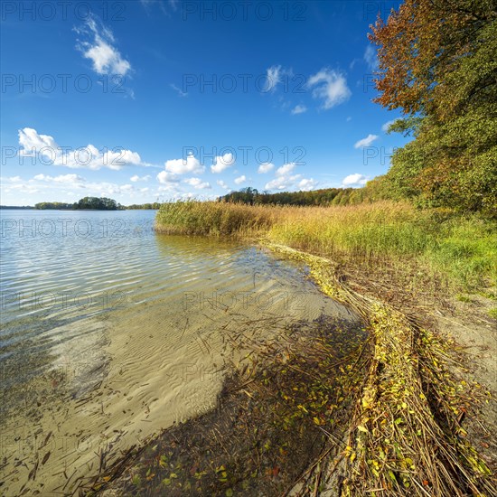 Bathing spot at Grosser Praessnicksee in autumn