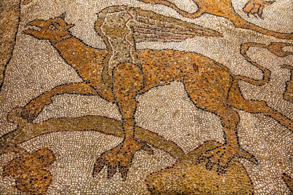 Floor mosaic in the Cathedral dell' Annunziata