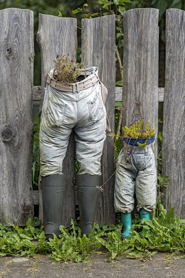 Decoration on wooden garden fence