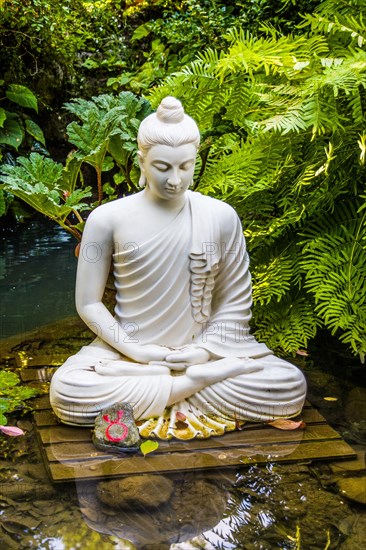 Buddha Seduto