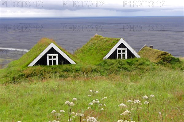 Grass sod houses in Skaftafell National Park