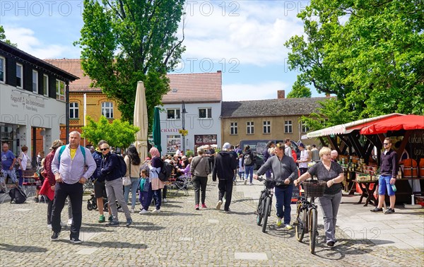 Tourists