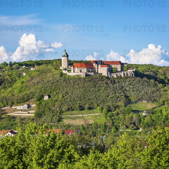 View of Neuenburg Castle and vineyards