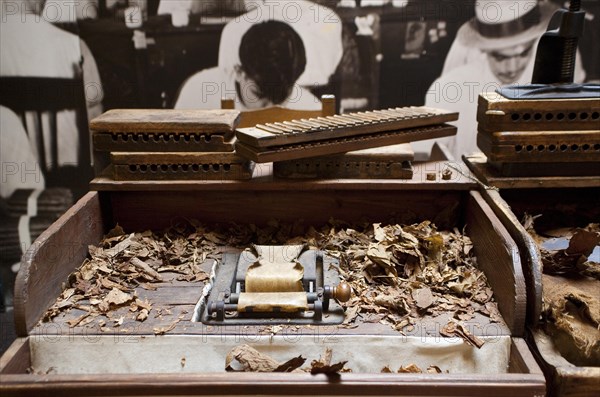Cigar Museum