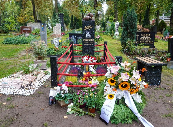 Grave of the sportsman Rocky Graciano Rocchigiani