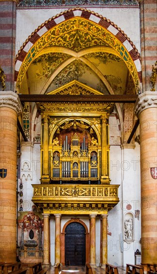 Organ