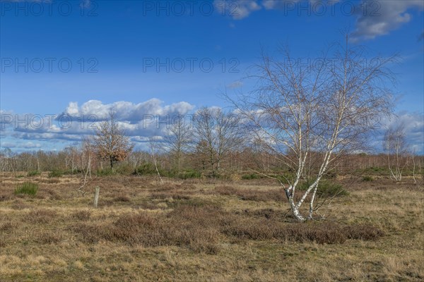 Heinz Sielmanns Naturlandschaft