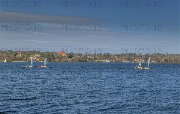 Optimist sailors