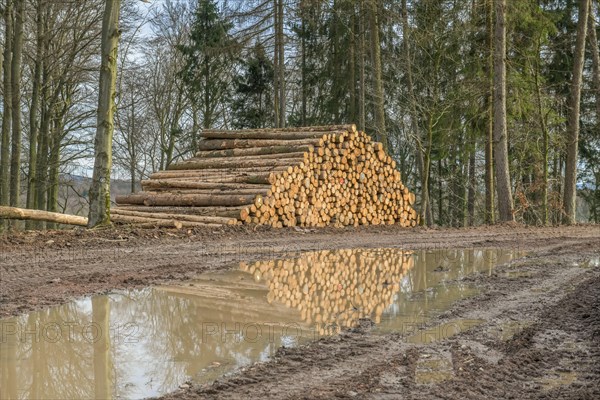 Wood pile