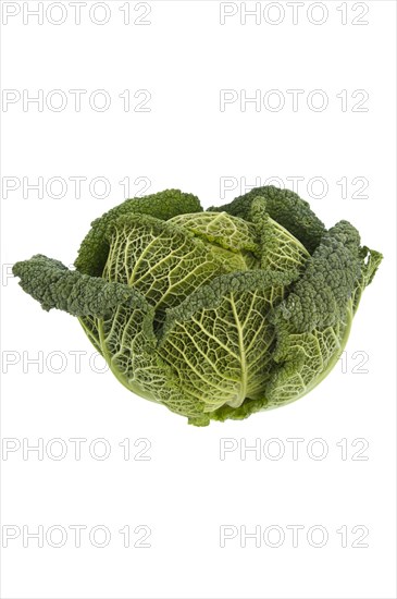 Savoy cabbage