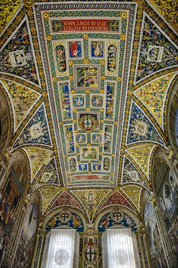 Interior of Piccolomini Library