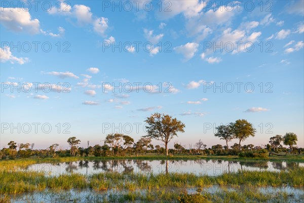 Waterscape at Little Vumbura Camp