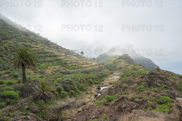 La Matanza plateau