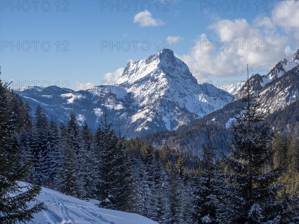 Winter landscape